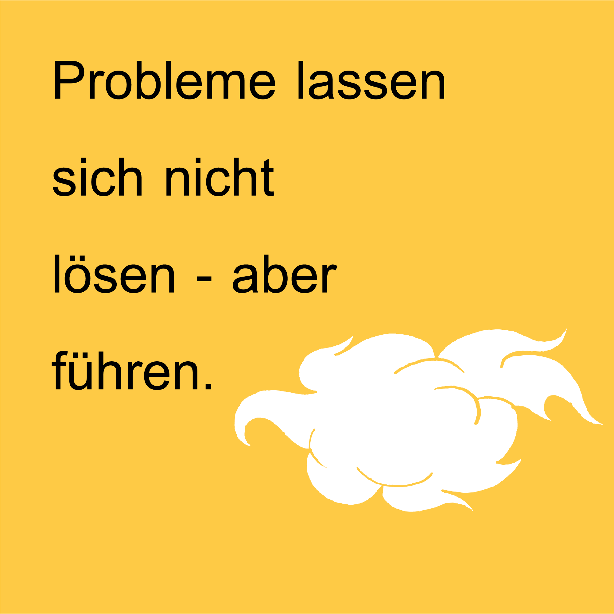 Probleme lassen sich nicht lösen - aber führen.